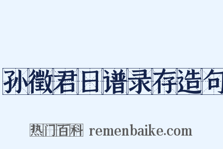 孙徵君日谱录存造句是什么意思的图片